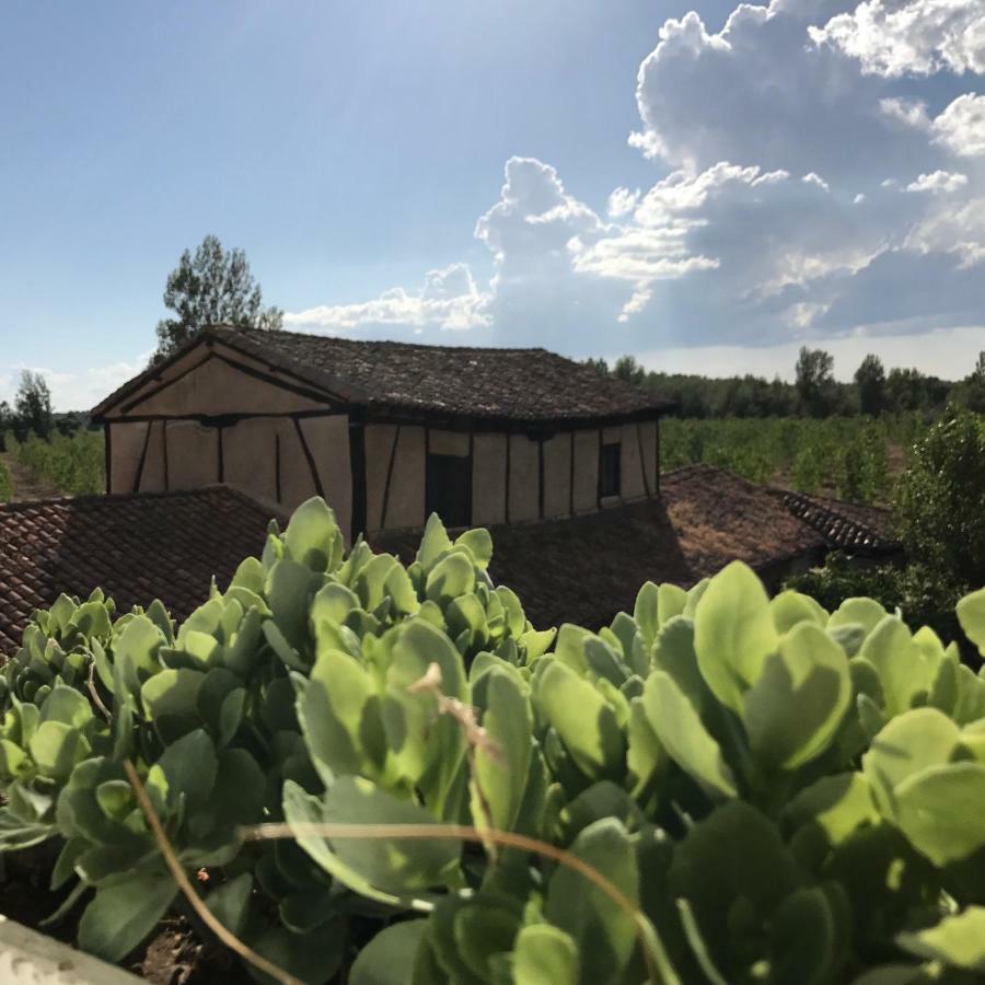 Molino De Villacelama 外观 照片